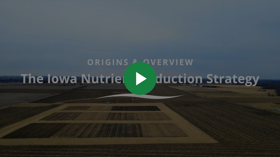 Origins & Overview of the Iowa Nutrient Reduction Strategy